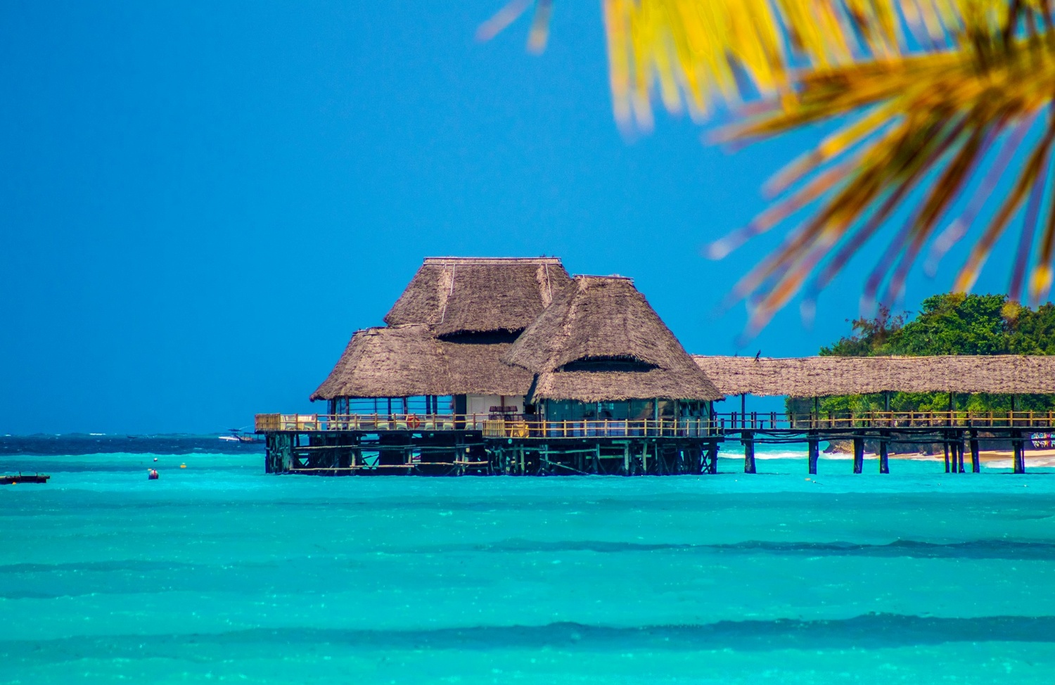 TANZANIJA & ZANZIBAR