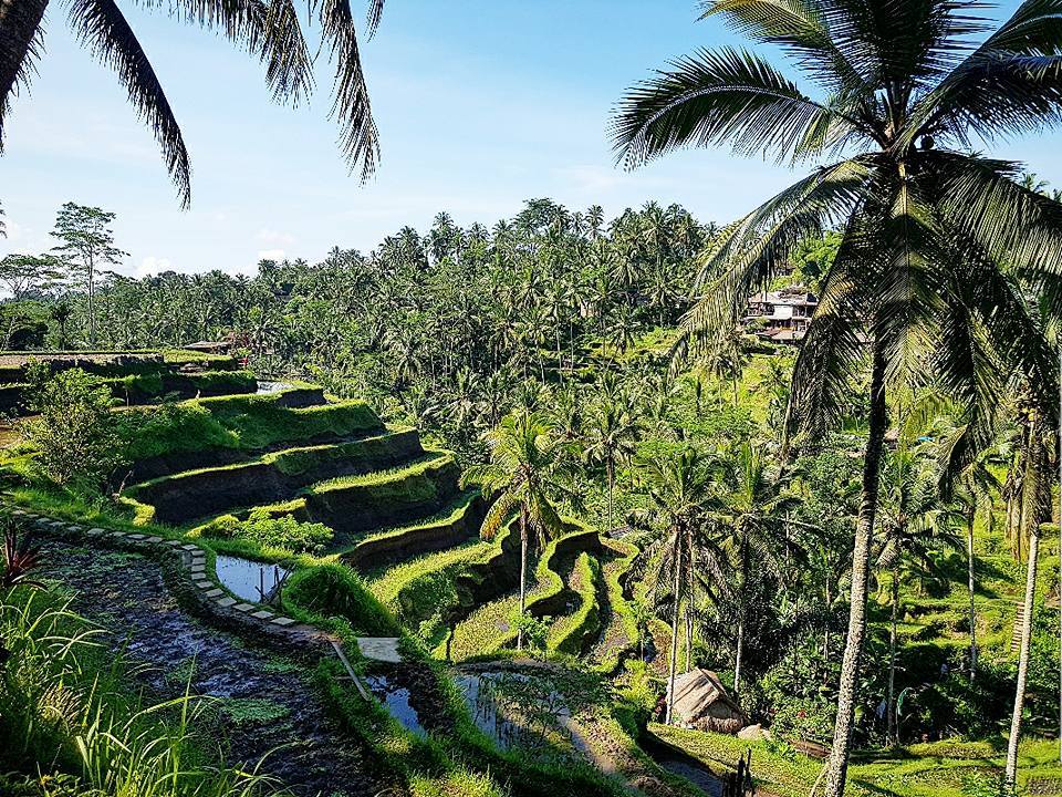 BALI & KUALA LUMPUR NOVA GODINA 2021