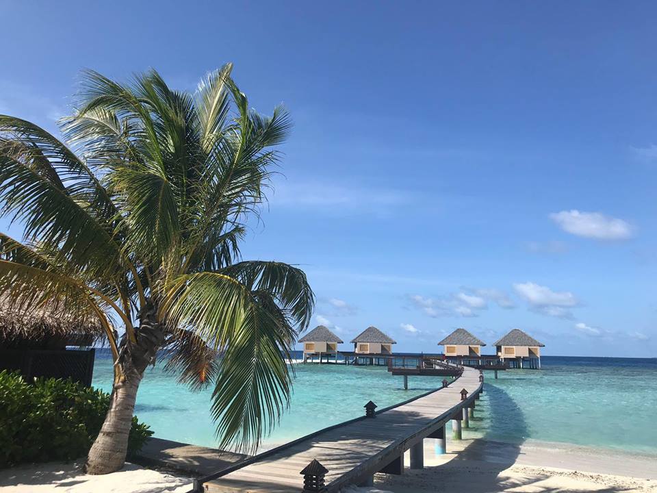 MALDIVI-DUBAI I ABU DHABI