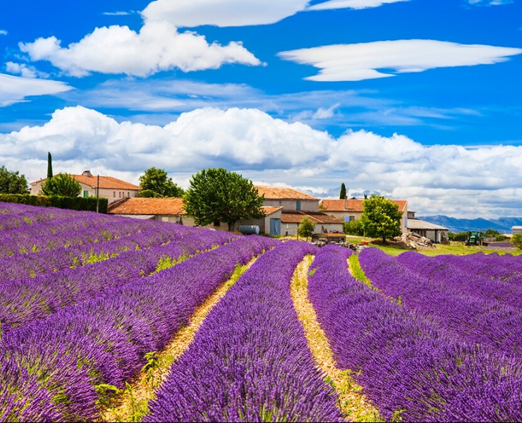 Provansa, putevima lavande